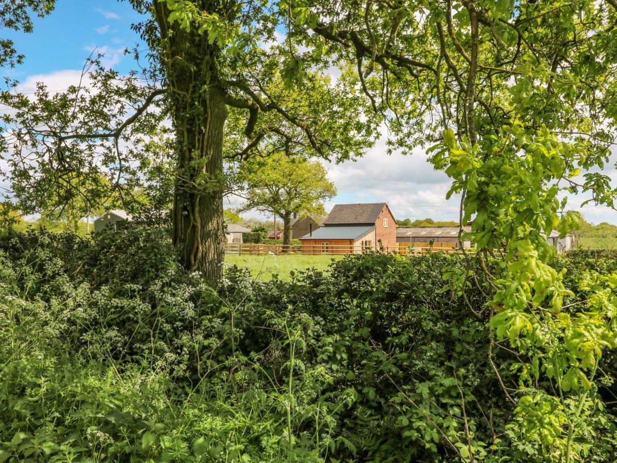 Acorn Lodge Stafford Dış mekan fotoğraf