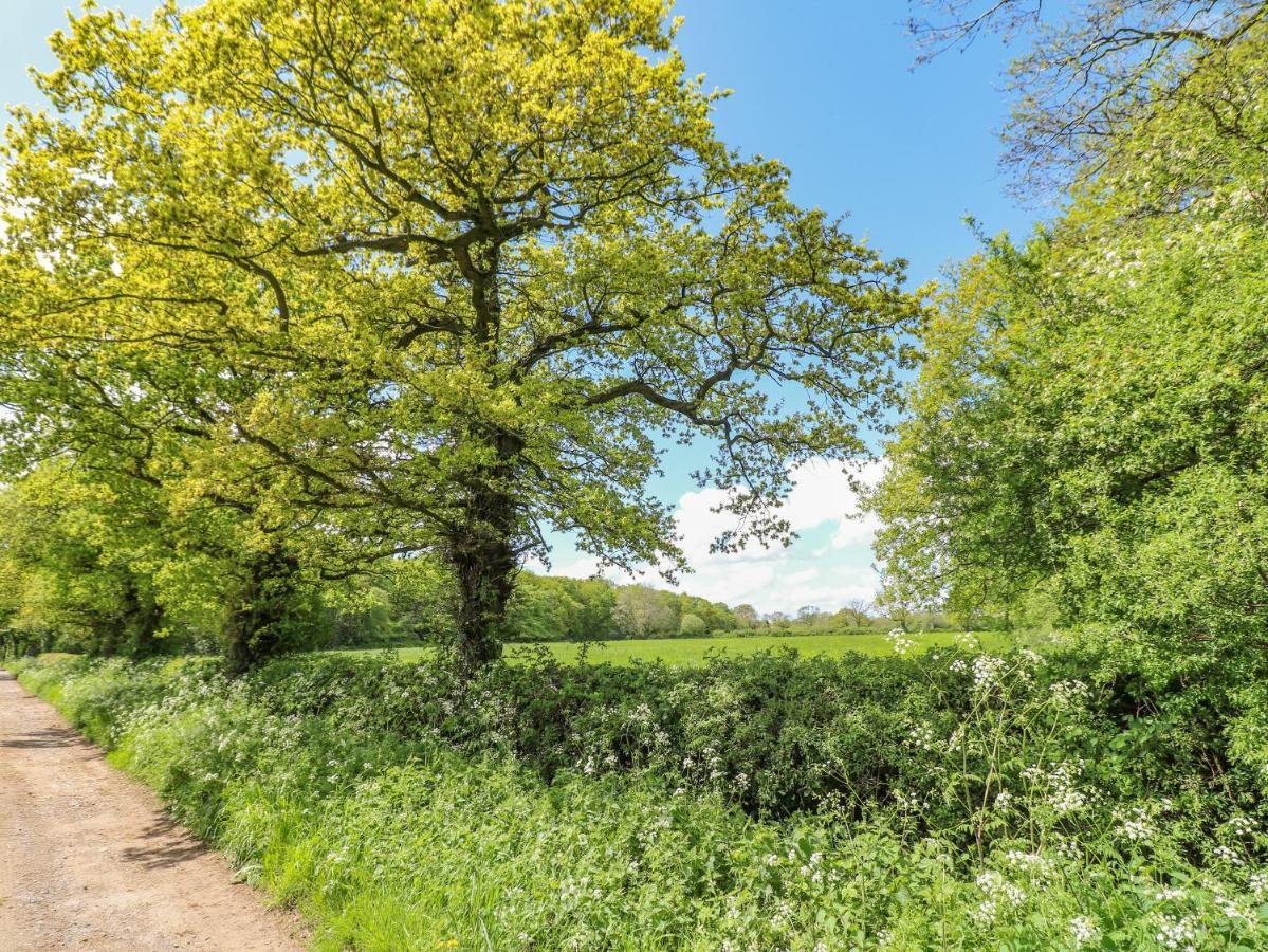 Acorn Lodge Stafford Dış mekan fotoğraf